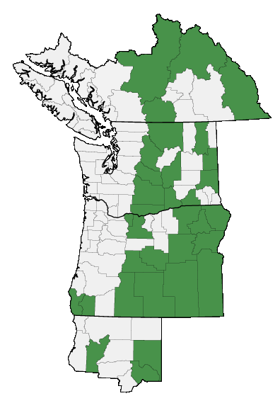 Map of where plant is found