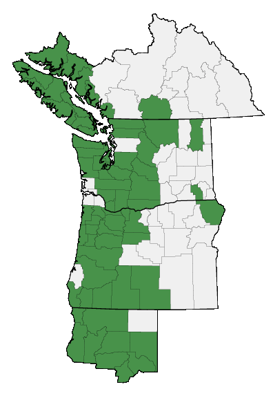 Map of where plant is found