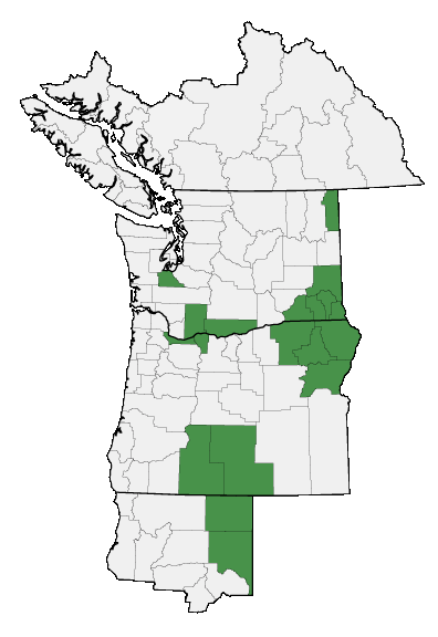 Map of where plant is found