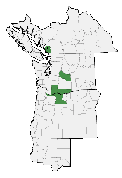 Map of where plant is found