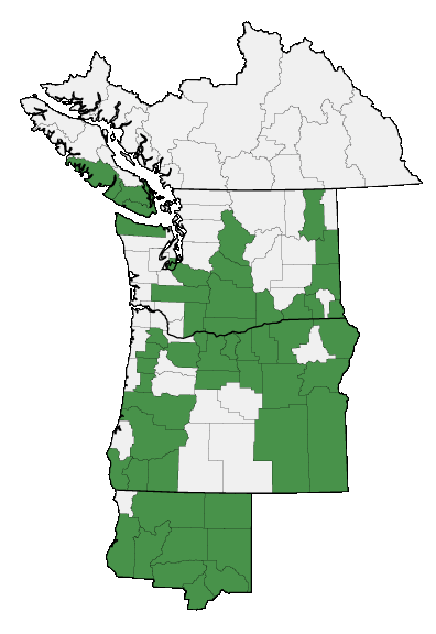 Map of where plant is found