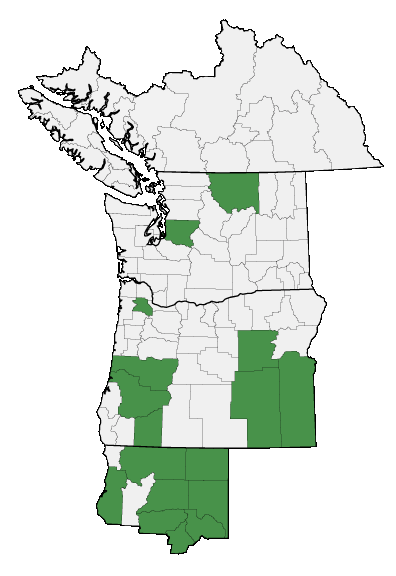 Map of where plant is found