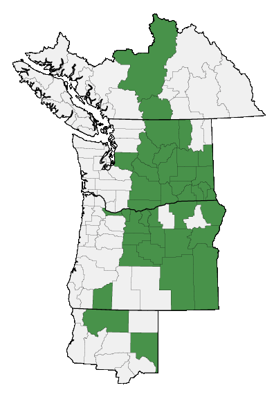 Map of where plant is found