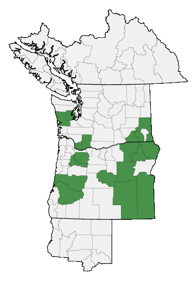 Map of where plant is found