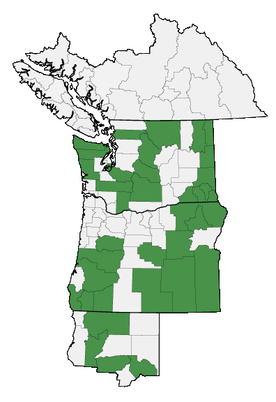 Map of where plant is found
