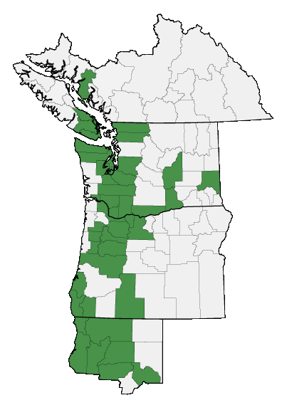 Map of where plant is found