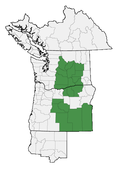 Map of where plant is found