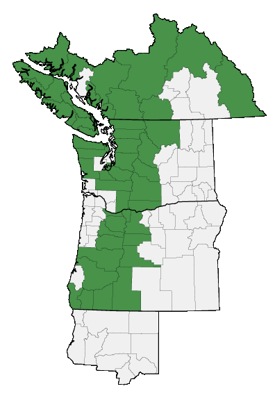 Map of where plant is found