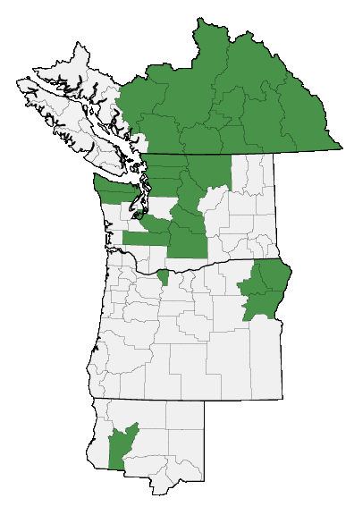 Map of where plant is found