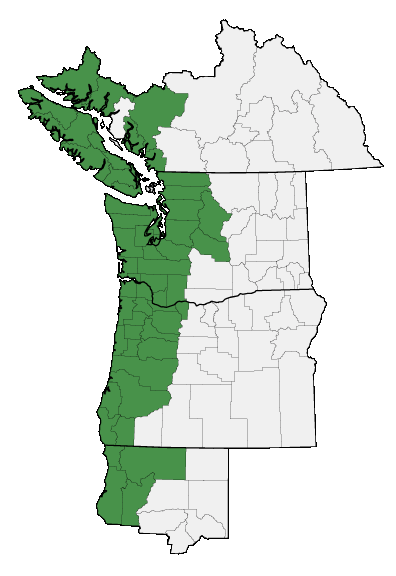 Map of where plant is found