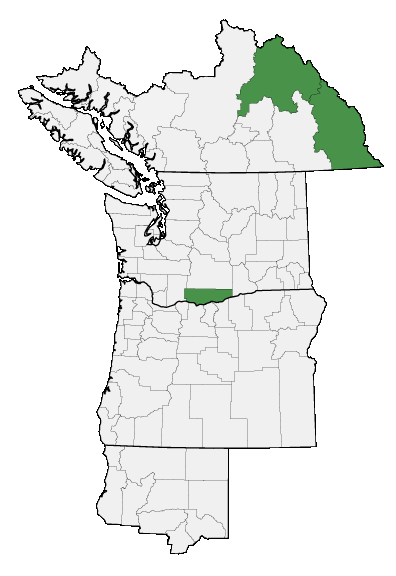 Map of where plant is found