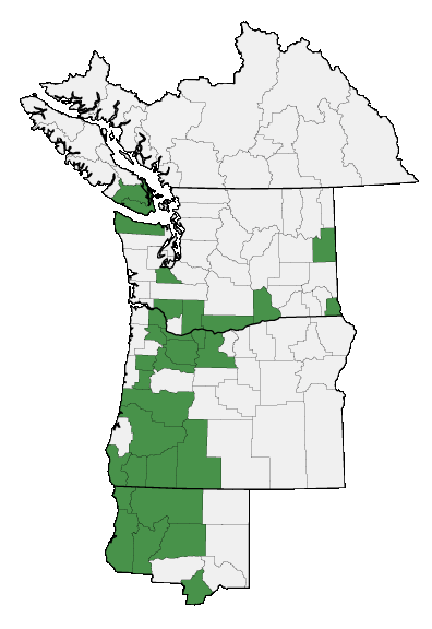 Map of where plant is found