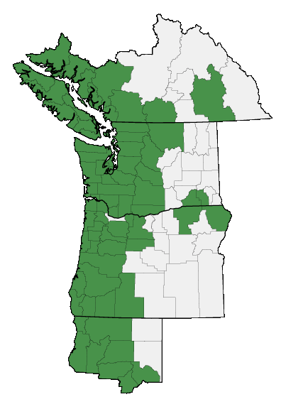 Map of where plant is found