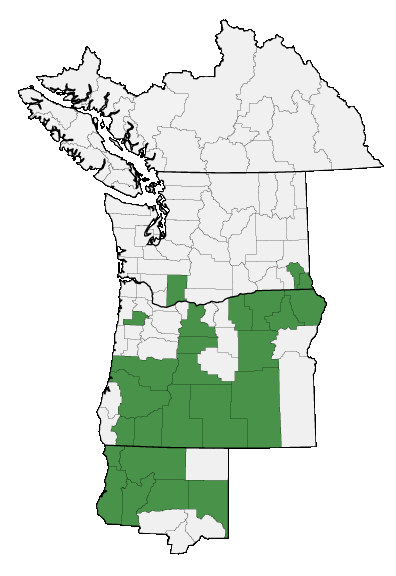 Map of where plant is found