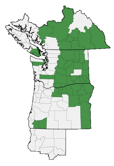 Map of where plant is found