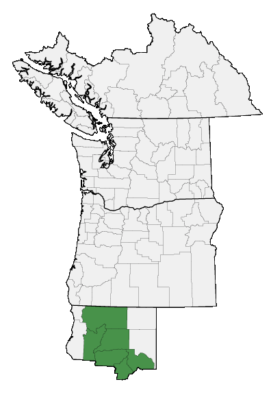 Map of where plant is found