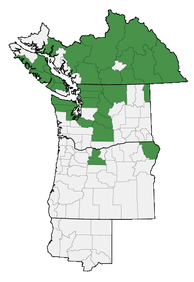 Map of where plant is found