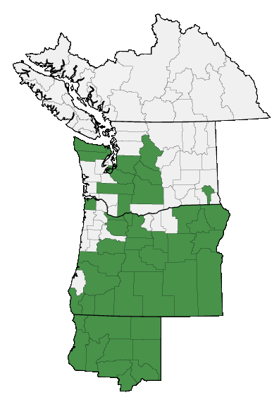 Map of where plant is found