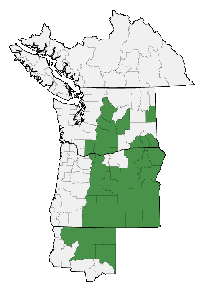 Map of where plant is found