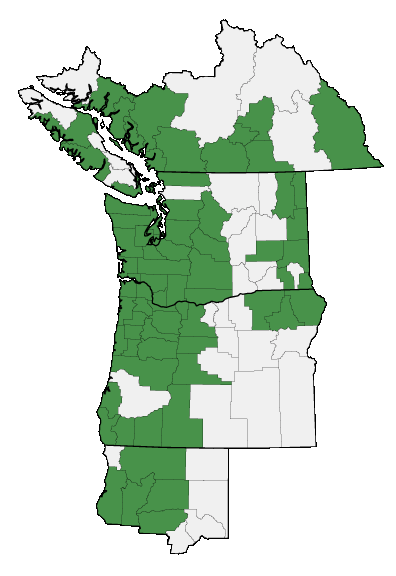 Map of where plant is found