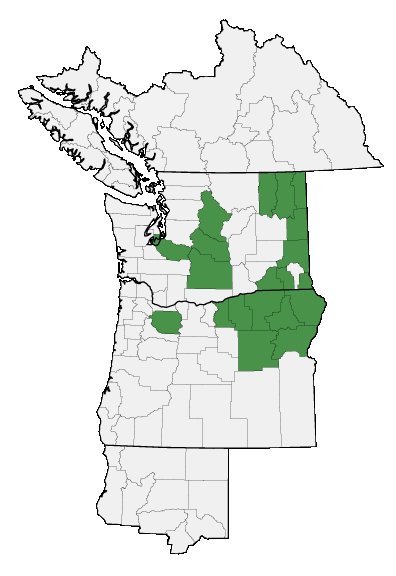 Map of where plant is found