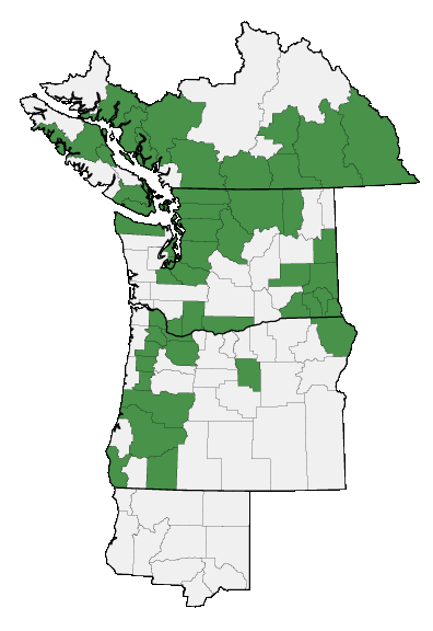Map of where plant is found