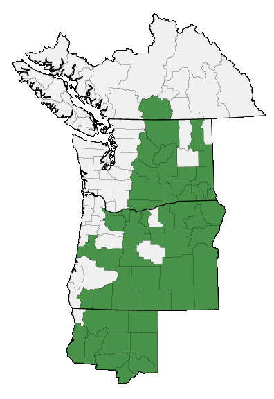 Map of where plant is found