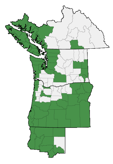 Map of where plant is found