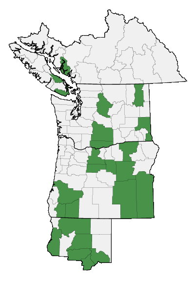 Map of where plant is found