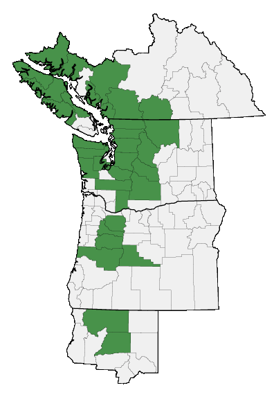 Map of where plant is found