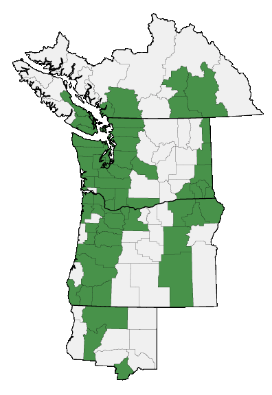 Map of where plant is found