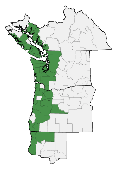 Map of where plant is found