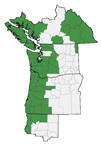 Map of where plant is found