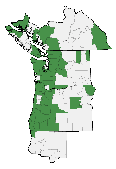 Map of where plant is found