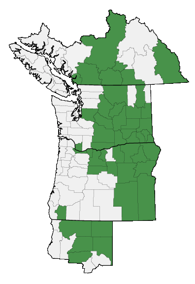 Map of where plant is found