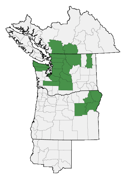 Map of where plant is found