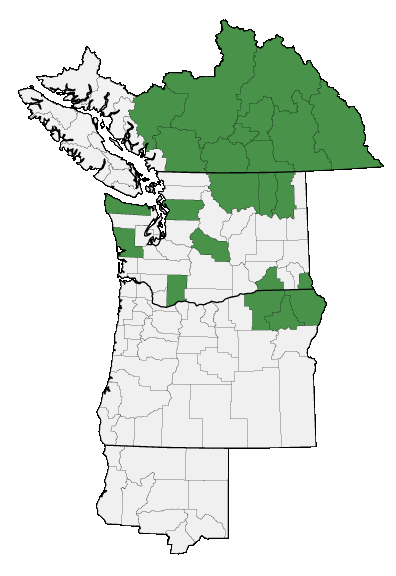 Map of where plant is found