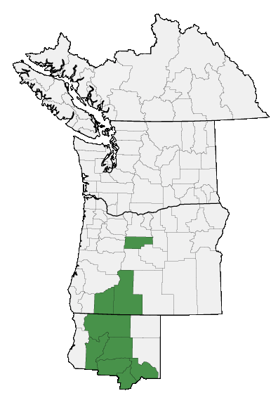 Map of where plant is found