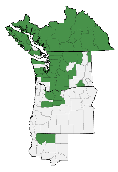 Map of where plant is found