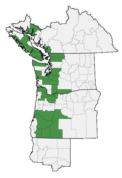 Map of where plant is found