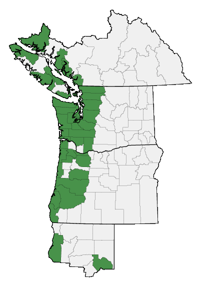 Map of where plant is found