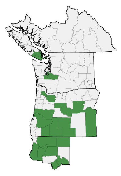 Map of where plant is found