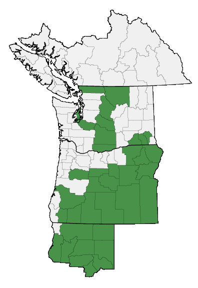 Map of where plant is found