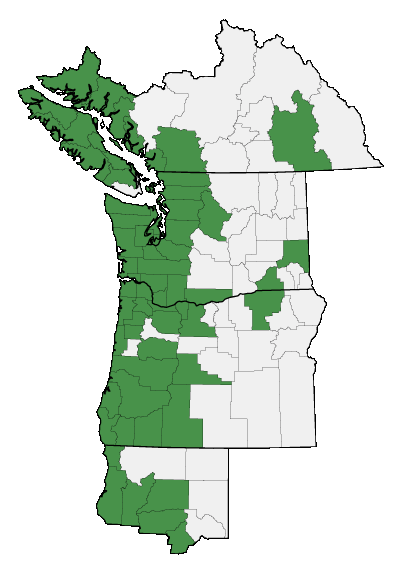 Map of where plant is found