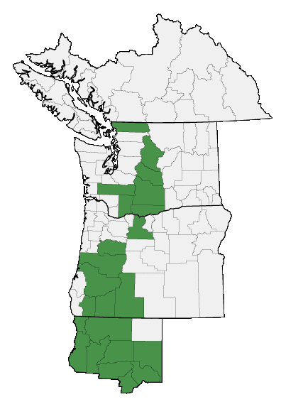 Map of where plant is found