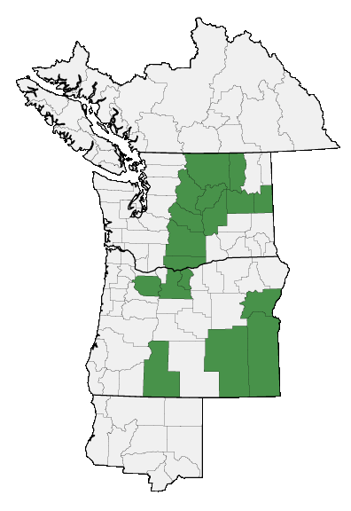 Map of where plant is found