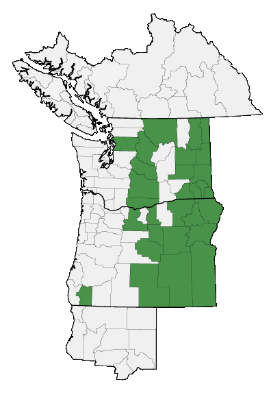 Map of where plant is found