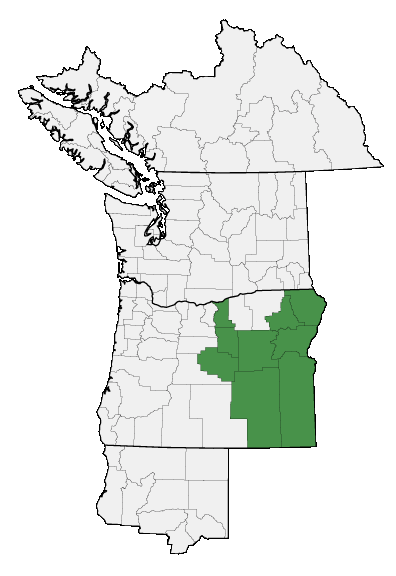 Map of where plant is found