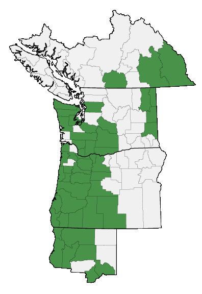 Map of where plant is found