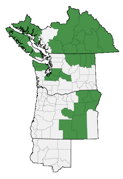 Map of where plant is found